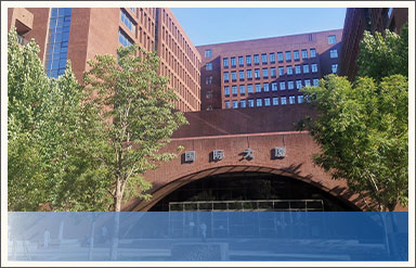 北京外国语大学